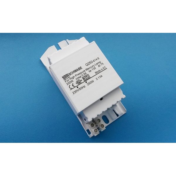 Ballasts for Mercury lamps Q250W-614.8  230V 50Hz image 1