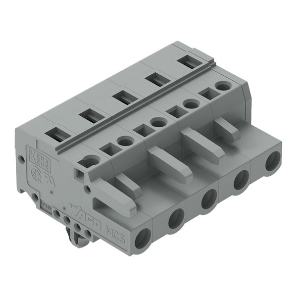 1-conductor female connector CAGE CLAMP® 2.5 mm² gray image 1