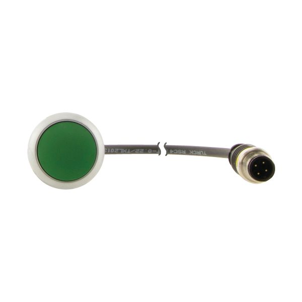 Pushbutton, Flat, momentary, 1 N/O, Cable (black) with M12A plug, 4 pole, 0.2 m, green, Blank, Bezel: titanium image 8