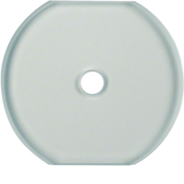 Glass cover centre plate f. rot. switch/spring-return push-button, cle image 1