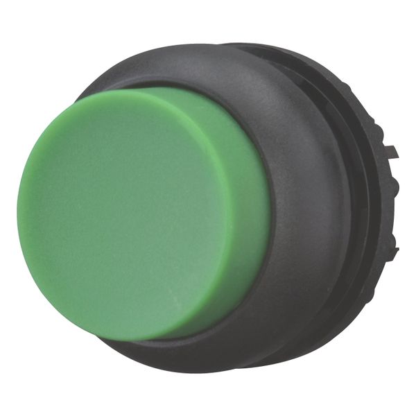 Pushbutton, RMQ-Titan, Extended, maintained, green, Blank, Bezel: black image 9