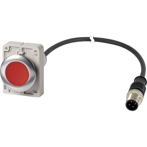 Pushbutton, Flat, maintained, 1 NC, Cable (black) with M12A plug, 4 pole, 1 m, red, Blank, Metal bezel image 3