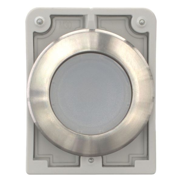 Illuminated pushbutton actuator, RMQ-Titan, flat, momentary, White, blank, Front ring stainless steel image 9