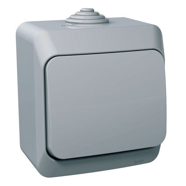 Cedar Plus - 1pole switch - 16AX, grey image 2