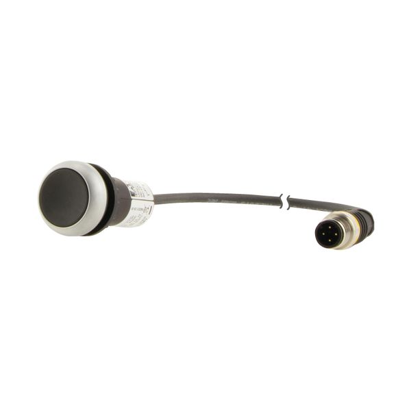 Pushbutton, Flat, momentary, 1 NC, Cable (black) with M12A plug, 4 pole, 0.2 m, black, Blank, Bezel: titanium image 6