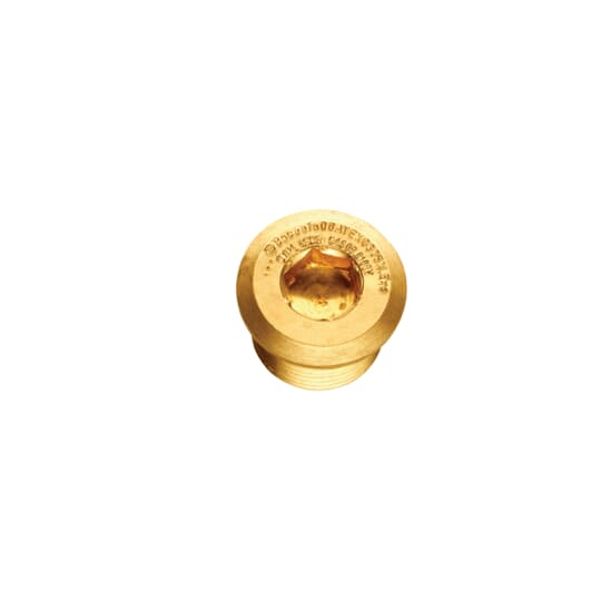 EXN/M16/DSP STOPPING PLUG N/P BRASS M16 image 1