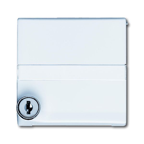 2118 GKSLN-34 CoverPlates (partly incl. Insert) Flush-mounted, water-protected, special connecting devices Alpine white image 1
