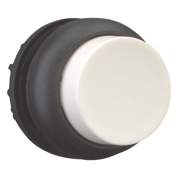 Pushbutton, RMQ-Titan, Extended, momentary, White, Blank, Bezel: black image 12