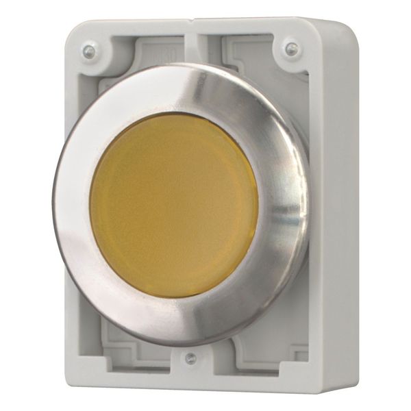 Illuminated pushbutton actuator, RMQ-Titan, flat, momentary, yellow, blank, Front ring stainless steel image 6