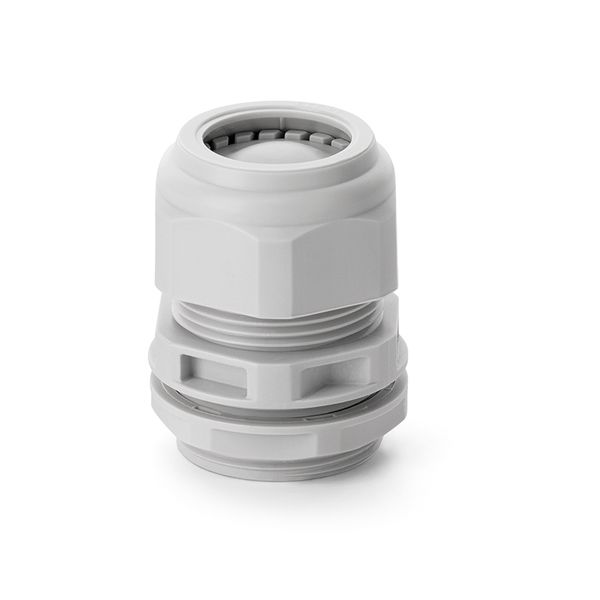 CABLE GLAND PG 13,5 W/MEMBR. image 1