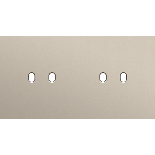 Twofold faceplate, horizontal 71 mm centre distance, for double switch image 1