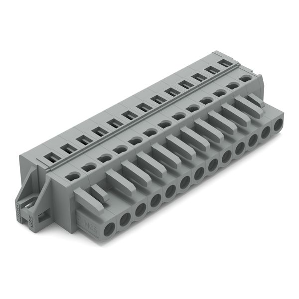 1-conductor female connector CAGE CLAMP® 2.5 mm² gray image 1