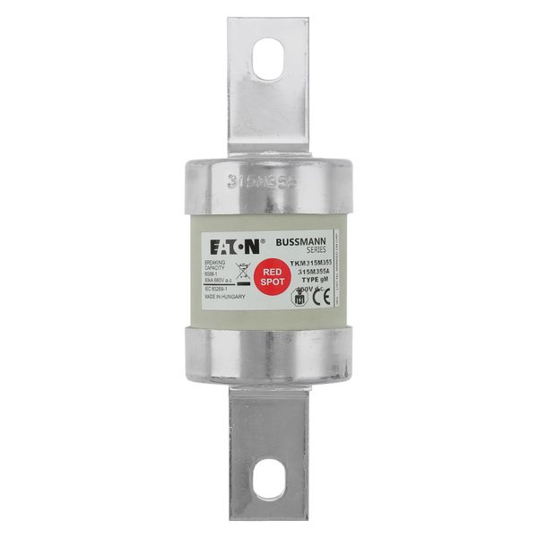 Fuse-link, LV, 250 A, AC 660 V, DC 460 V, BS88, 53 x 160 mm, gL/gG, BS image 5