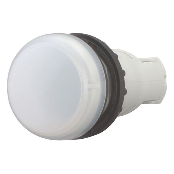 Indicator light, RMQ-Titan, Flush, without light elements, For filament bulbs, neon bulbs and LEDs up to 2.4 W, with BA 9s lamp socket, white image 5