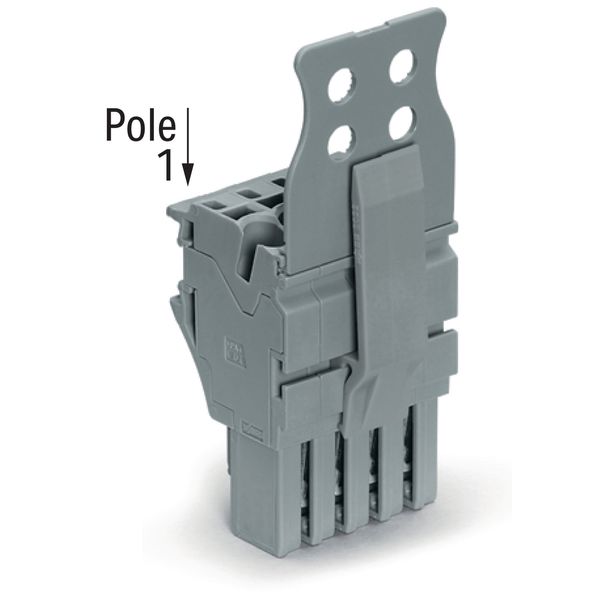 1-conductor female connector Push-in CAGE CLAMP® 4 mm² gray image 1