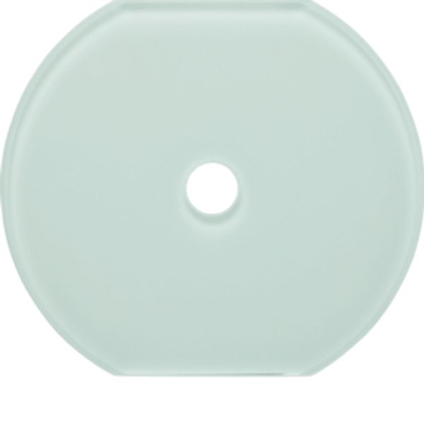 Glass cover centre plate for rot. switch/spring-return push-button image 1