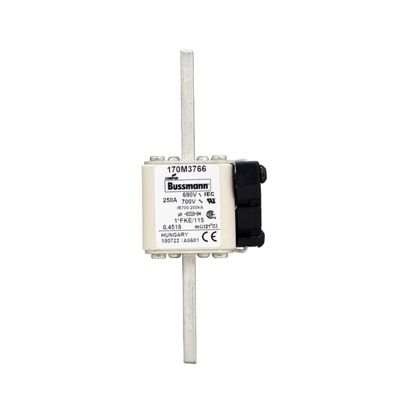 Fuse-link, high speed, 250 A, AC 690 V, compact size 1, 45 x 59 x 148 mm, aR, IEC, UL, single indicator image 11