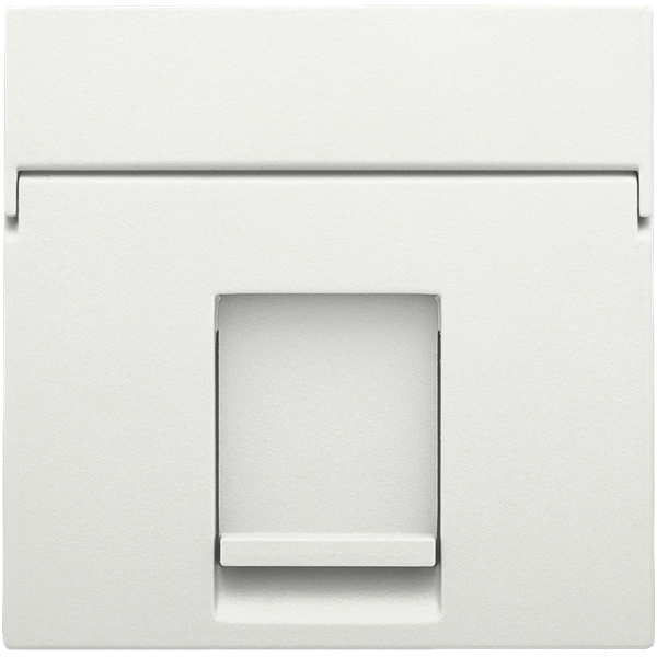 Central plate data 1x RJ, white image 2