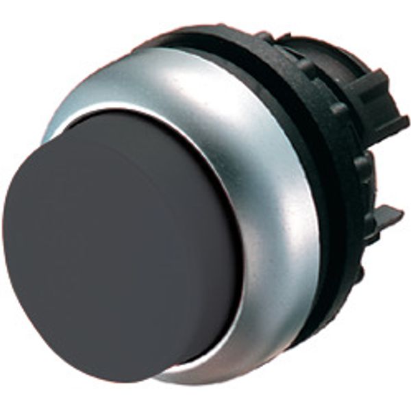 Pushbutton, RMQ-Titan, Extended, maintained, black, Blank, Bezel: titanium image 1