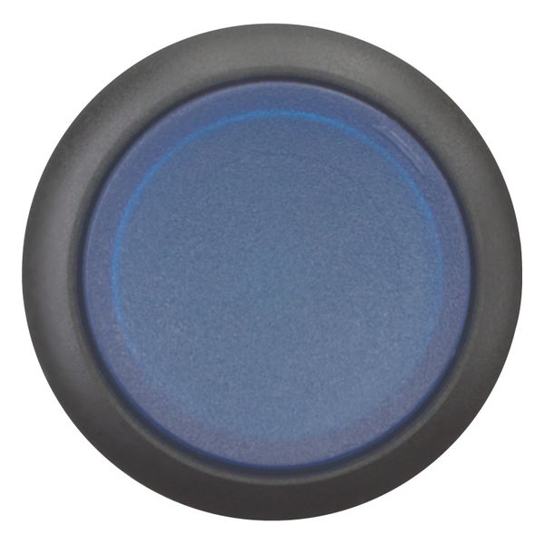 Illuminated pushbutton actuator, RMQ-Titan, Extended, maintained, Blue, Blank, Bezel: black image 11