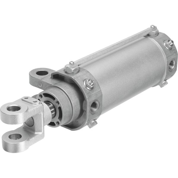 DW-80-100-Y-A Hinge cylinder image 1