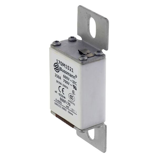 Fuse-link, high speed, 250 A, AC 690 V, size 000, 24 x 36 x 96 mm, aR, IEC, visual indicator image 6