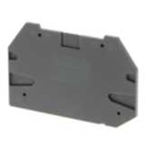 End plate for terminal blocks 4 mm² multi-conductor screw models image 2