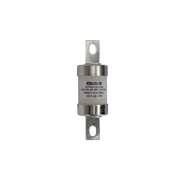 BS fuse-link IEC gM B2 690VAC 460VDC 125M160A BTF Central Bolted Tag image 1