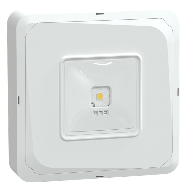 Exiway Smartbeam DiCube - emergency luminaire - surface - escape - 3 h image 5