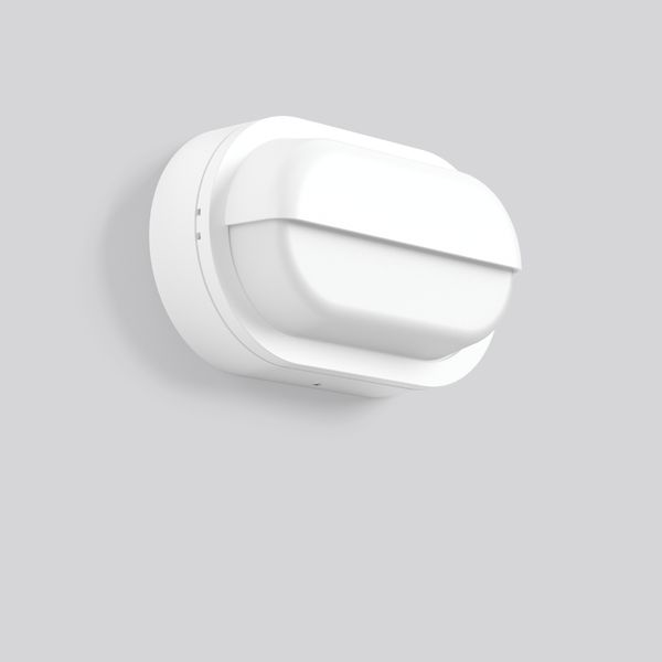 Alu-Lux oval, 12 W, 330 lm, 840, white, on/off Wall luminaires, L 258  image 2