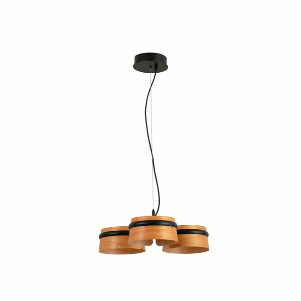 LOOP PENDANT LAMP image 1