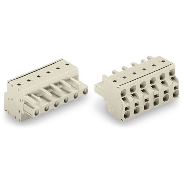 2-conductor female connector Push-in CAGE CLAMP® 2.5 mm² light gray image 3