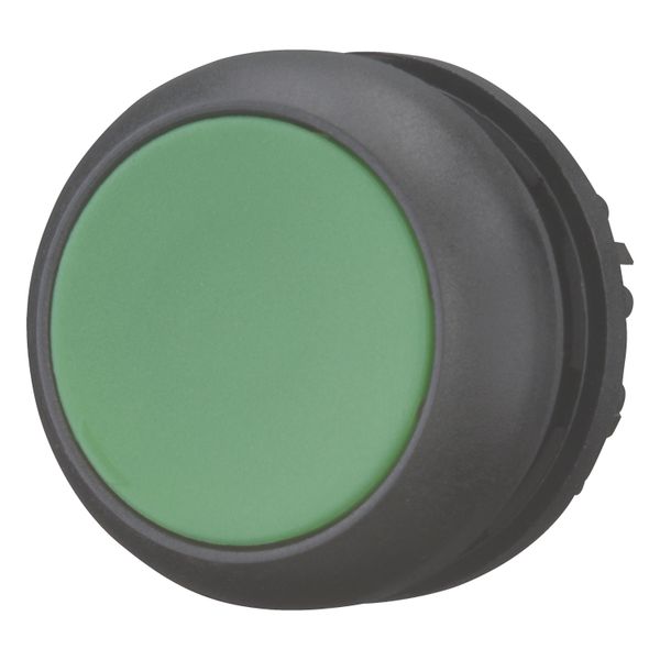 Pushbutton, RMQ-Titan, Flat, maintained, green, Blank, Bezel: black image 9