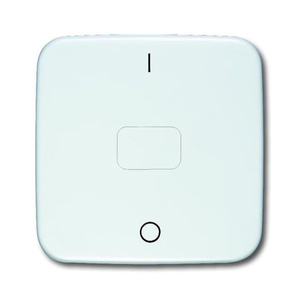 2544-214 CoverPlates (partly incl. Insert) carat® Alpine white image 2