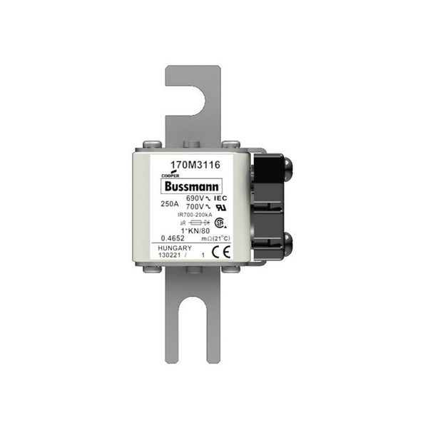 Fuse-link, high speed, 250 A, AC 690 V, compact size 1, 43 x 60 x 110 mm, aR, DIN, IEC, single indicator image 10