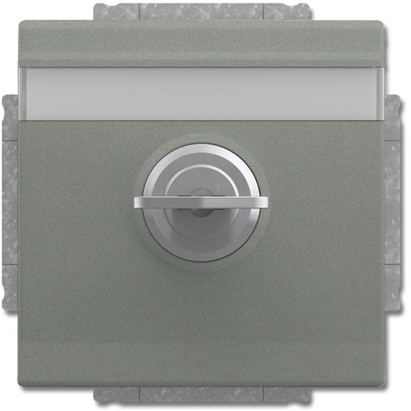 20 EUKNBSL-803 CoverPlates (partly incl. Insert) carat® grey metallic image 1