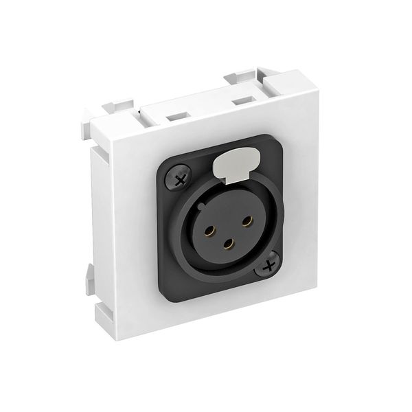 MTG-X3F S RW1 Multimedia support, XLR, 3-pin socket with screw connection 45x45mm image 1