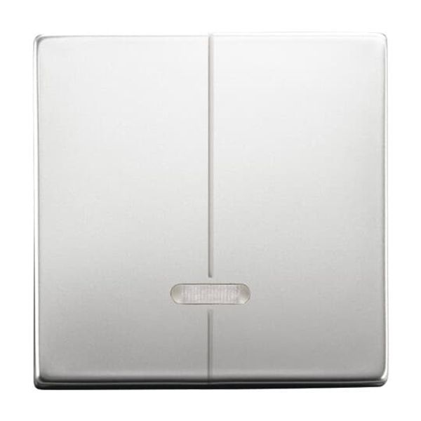 6545-866 CoverPlates (partly incl. Insert) pure stainless steel Stainless steel image 2