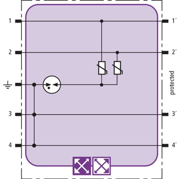 BLITZDUCTOR XT surge arrester module with Y circuit image 3