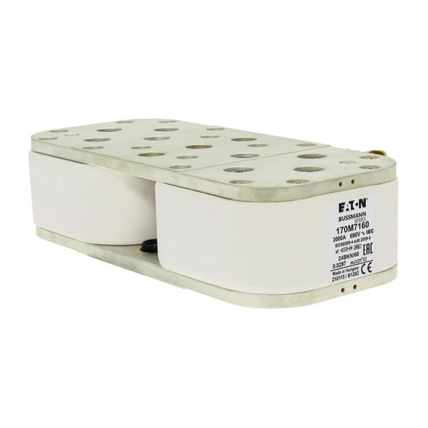 FUSE 3000A 660V 24BKN/60 AR image 11