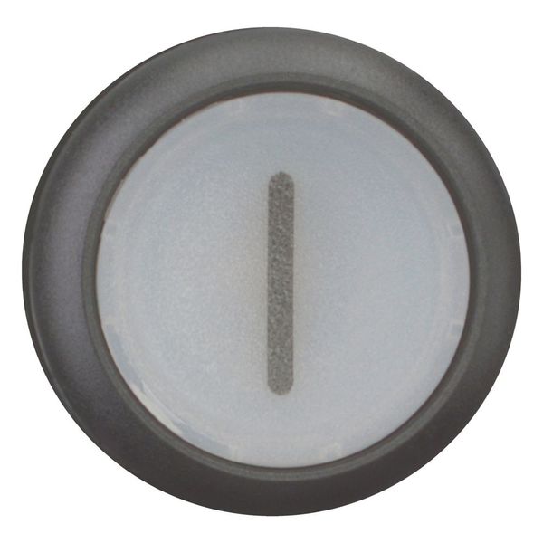 Illuminated pushbutton actuator, RMQ-Titan, Flush, maintained, White, inscribed 1, Bezel: black image 10