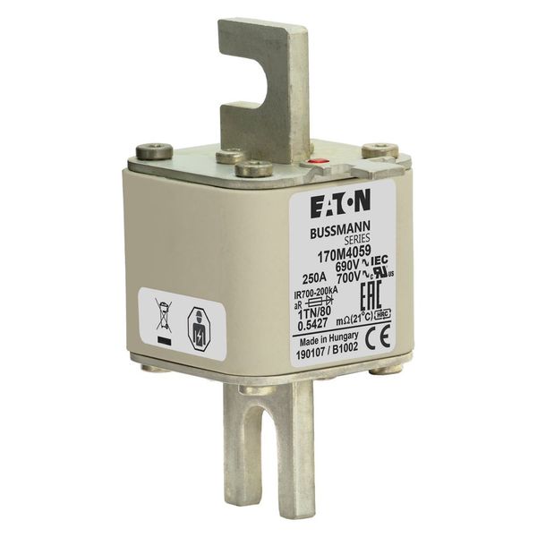 Fuse-link, high speed, 250 A, AC 690 V, DIN 1, 53 x 66 x 108 mm, aR, DIN, IEC, single indicator image 9