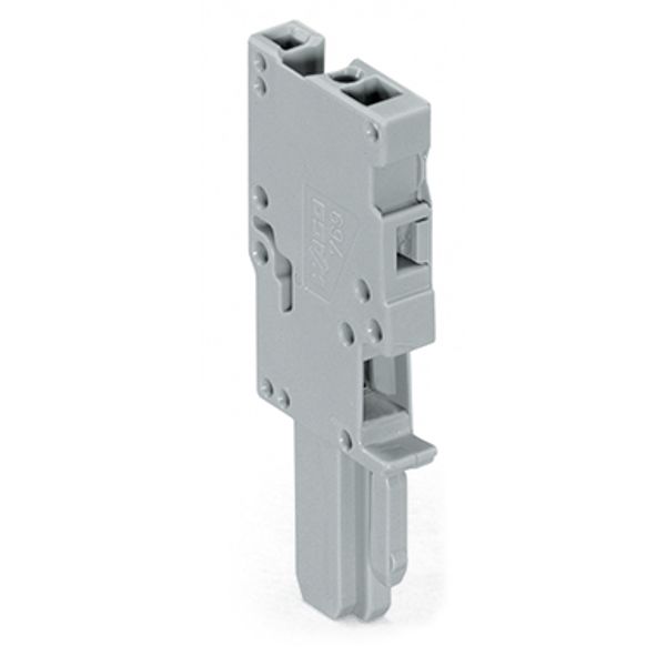 1-conductor female connector CAGE CLAMP® 4 mm² gray image 2