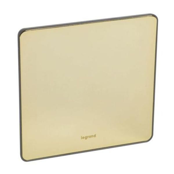 Synergy Sleek 1 gang blanking plate Glossy gold image 1