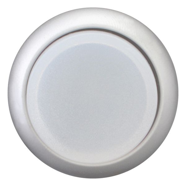 Illuminated pushbutton actuator, RMQ-Titan, Extended, momentary, White, Blank, Bezel: titanium image 7