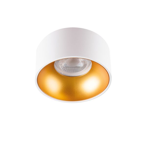 MINI RITI GU10 W/G Ceiling-mounted spotlight fitting image 1