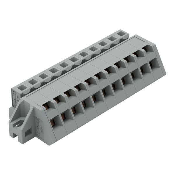 1-conductor female connector, angled CAGE CLAMP® 2.5 mm² gray image 2