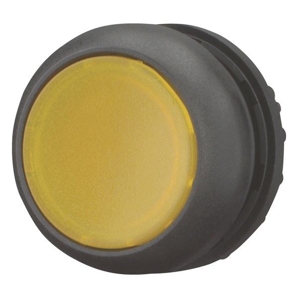 Illuminated pushbutton actuator, RMQ-Titan, Flush, maintained, yellow, Blank, Bezel: black image 10