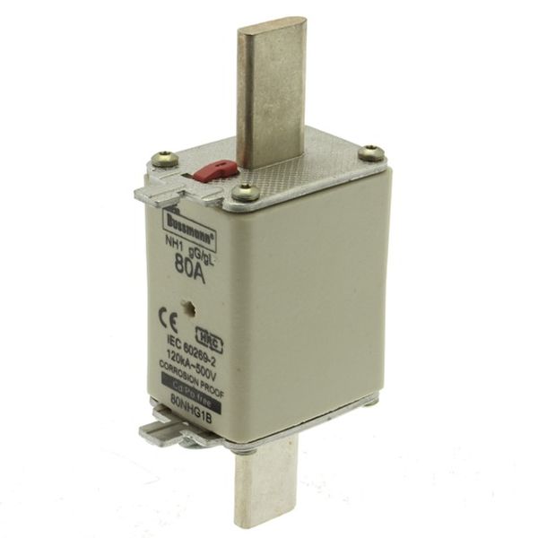 Fuse-link, low voltage, 50 A, AC 500 V, NH1, gL/gG, IEC, dual indicator image 3
