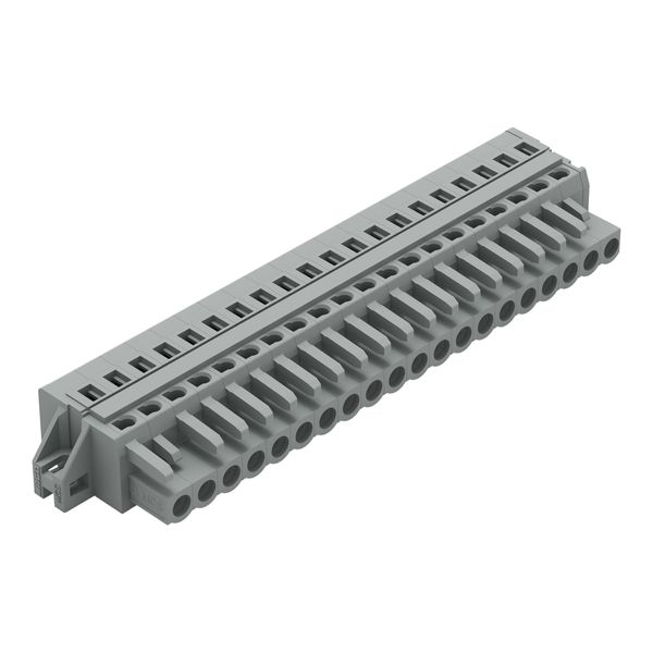 1-conductor female connector CAGE CLAMP® 2.5 mm² gray image 1